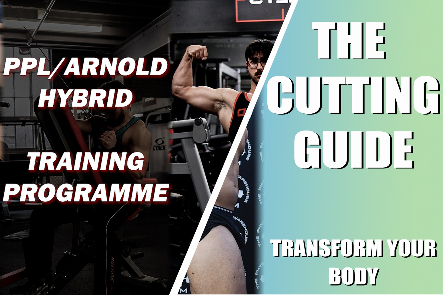 Training Programme X The Cutting Guide Bundle!