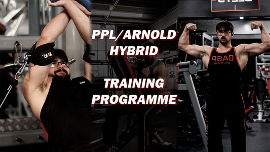PPL/Arnold Hybrid Programme (My Split)